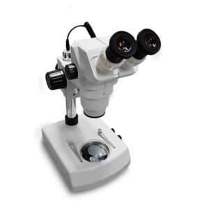 Microscópio ESTEREOSCÓPIO